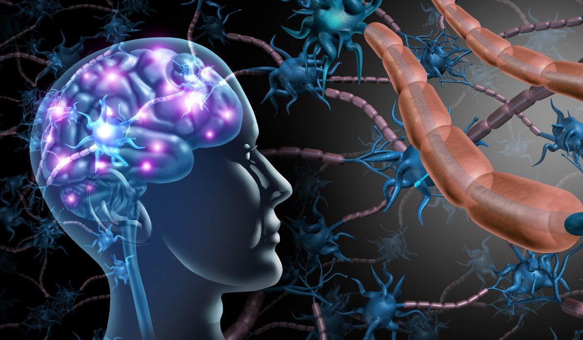 brain damage from cannabis