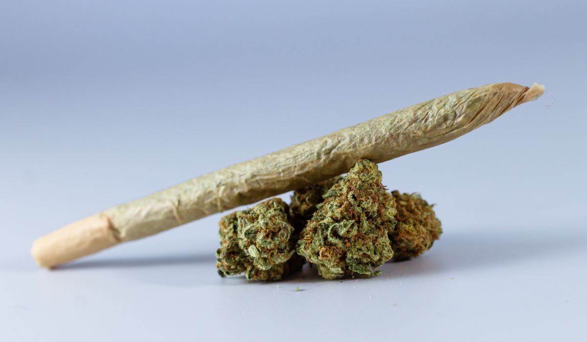 What is more addictive weed or alcohol